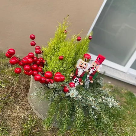 Casa Teresa In 公寓